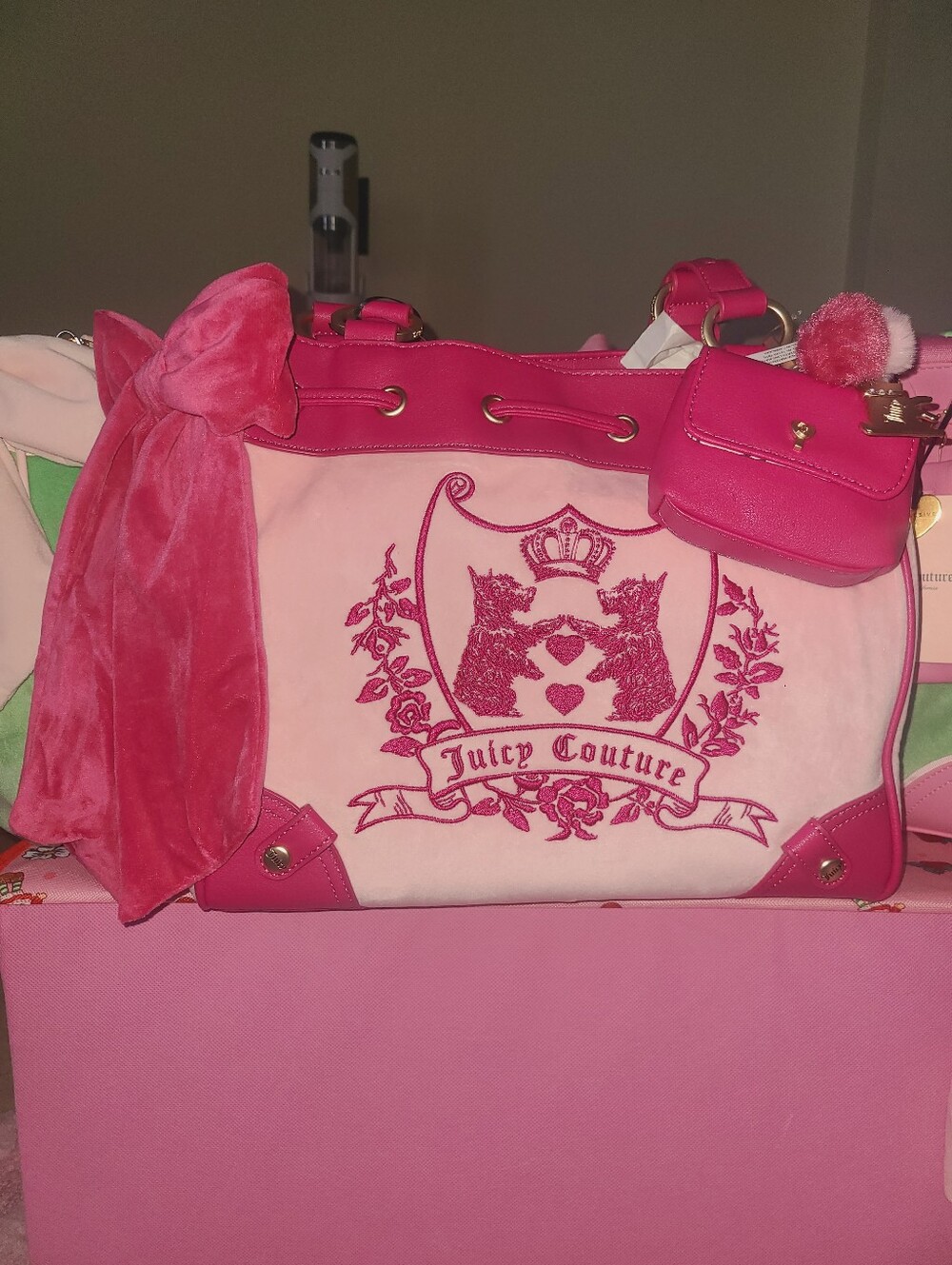 Juicy Couture Bag 🎀